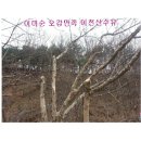 백사농장 이미지