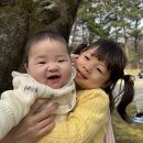 리움기획;건설 | [육아] 호암미술관 아이와 함께 솔직 후기