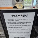 새신운동화손세탁