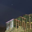 성남초등학교 맞은편 스마트뷰쪽 | 비발디파크 소노캄 재방문 솔직 후기 '소노캄A 파크뷰 침대/클린'