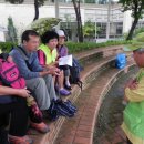 판곡초등학교 이미지