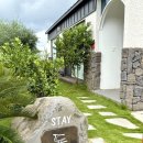 스테이돌덕 이미지