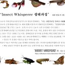 (접수마감)Insect Whisperer 생태과정 (사전 맛보기 1일 특강) - 댓글로 후기 작성하시면 됩니다. ^ 이미지