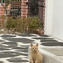 여수독채펜션 백야하루 이미지