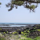 태흥포구 올레4길 화장실 | 제주 올레 4코스 : 길다 예쁘다 지겹다