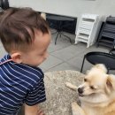 독앤트리 이미지