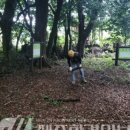 신흥환경 이미지