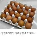 농업회사법인 농부와드론주식회사 | [유정란 구매 후기] 농업회사법인 양계장청년 주식회사, 자연방사 1번 난각번호 유정란｜상황버섯 먹여...