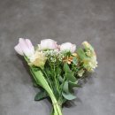 라원 이미지