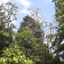 조이네집 이미지