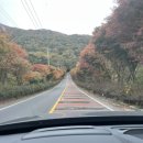 이박목장 이미지