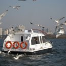 용산-이촌-327 이미지