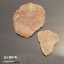 여행 390. 서울 덕수궁 돈덕전 전시회 관람여행(결과&amp;후기)
