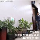 꽃보다의원 이미지