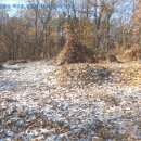 달계2리경로당 이미지