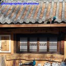 대관령가축인공수정소 | 강원도여행 / 남이섬외...