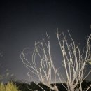 소소재 | 울산 스테이 소소재 감성 숙소 후기