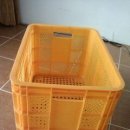 과일상자