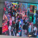 쭈대가제육대가(상록점) | 5월은 푸르구나아~ 5월의 일상 기록