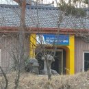 이남주자연아래버섯 이미지