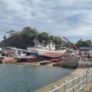 한국해양교통안전공단 이미지