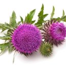 서정약국 이미지