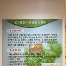 자연사랑 | [대구] 자연사랑 효소찜질 체험 내돈내산 후기