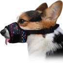 글로벌진돗개 이미지