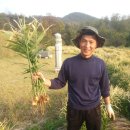 호명농장 이미지