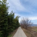 양지리 농장 이미지