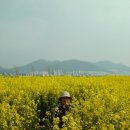 강변체육공원 이미지