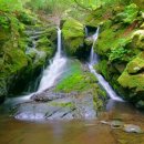 8/28일(목요일) 1311회차 정기산행 안내(가리왕산) 이미지