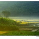 철마중리마을 이미지