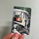 고급 독자가 될 결심 | 2025 서울국제도서전 후기 (약간의 꿀팁...?!)