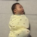 실전마루타