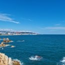 고래정원 이미지