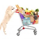 도담도담동물병원 이미지