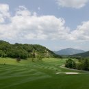 필로스골프연습장 이미지