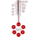 매경이 전하는 세상의 지식 (매-세-지, 10월 15일) 이미지