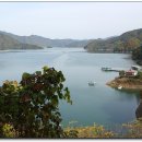 파로호생태마을 이미지