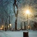 심해경희한약국 이미지