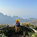 뿌리민박 이미지