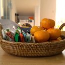 달콩 제주 이미지