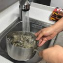 금호민박 | 통영여행코스 | 통영금호마리나, 통영중앙시장맛집, 통영동피랑동백꽃, 멍게하우스꿀빵, 삼칭이해안길...