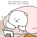 파이날라운드 이미지