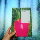 미리내아뜰리에 | 이희주 <나의 천사> 후기 – "천사를 향한 동경은 언제나 추락을 예비한다." (줄거리,등장인물,책 리뷰)
