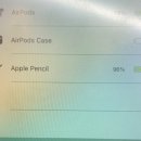 아이패드에 에어팟 케이스 배터리 잔량 이미지