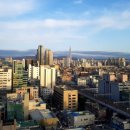 라성아카데미타워 이미지