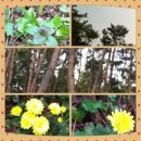 사랑이 머무는 집 2 이미지