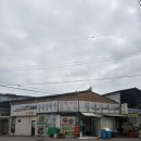 중앙촌길 | 거금도 3박4일 여행 코스 추천! 맛집·카페·낚시공원 정복하고 반값여행,척페이 혜택까지 챙긴 솔직후기